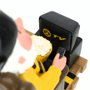 Preview: Borussia Dortmund - Gartenzwerg TV